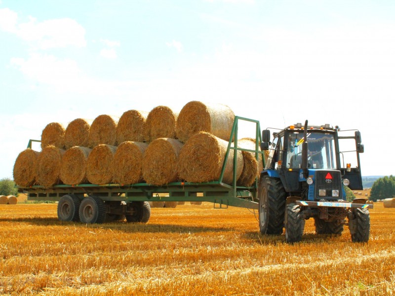 Тележка для перевозки рулонов ТПР-10