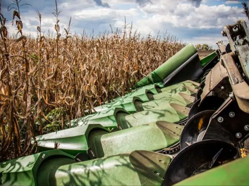 Кукурузная жатка OROS CORNADO